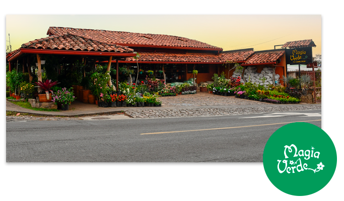 Tu vivero en costa rica