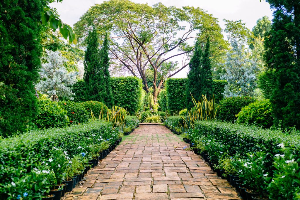 Cómo hacer un jardín Vivero Magia Verde