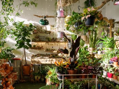 Jardín en apartamento. Consejos prácticos