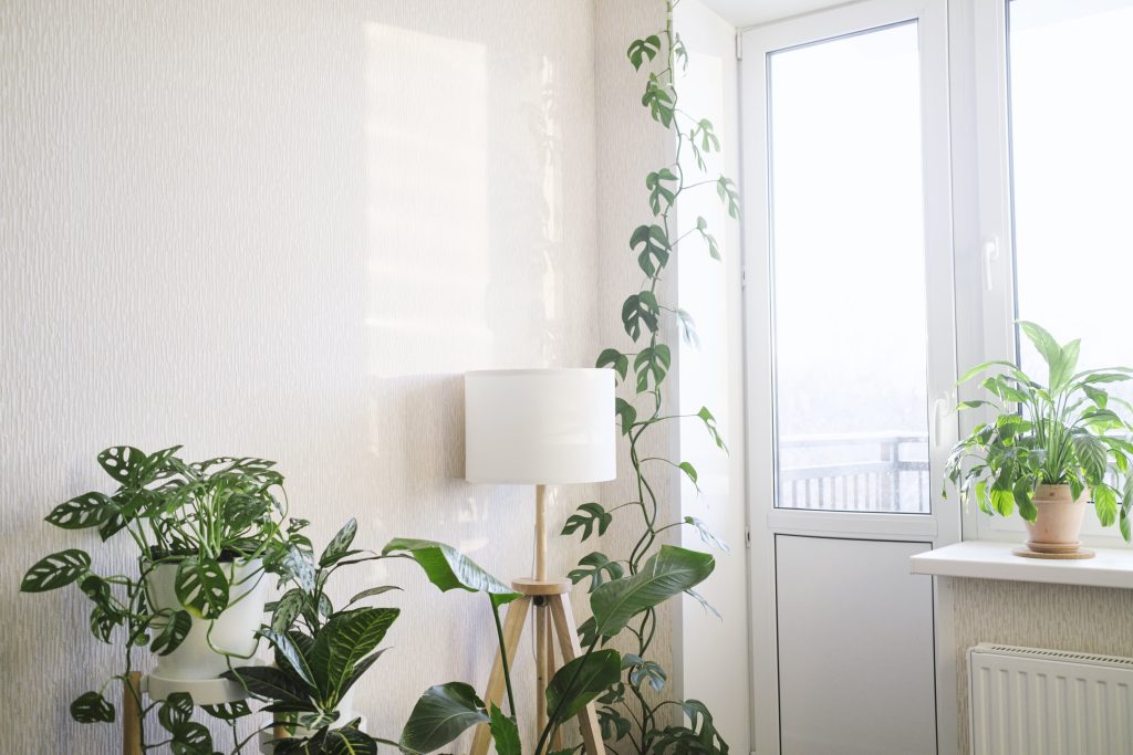 Jardín en apartamento vivero magia verde