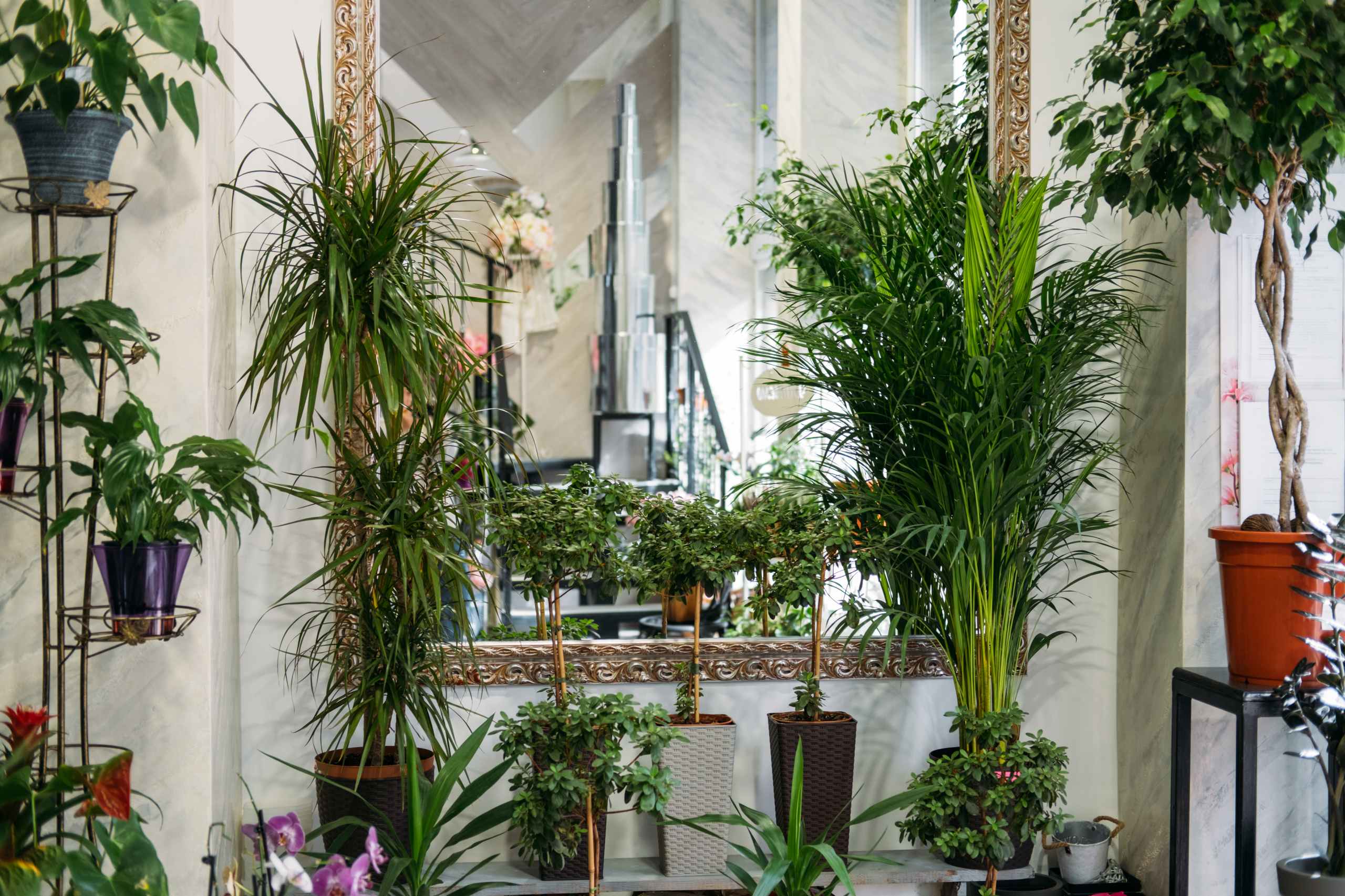 You are currently viewing Tendencias en Decoración con Plantas para Interiores y Exteriores en 2025