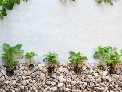 Diseño natural: incorpora piedra volcánica costarricense en tu jardín en casa