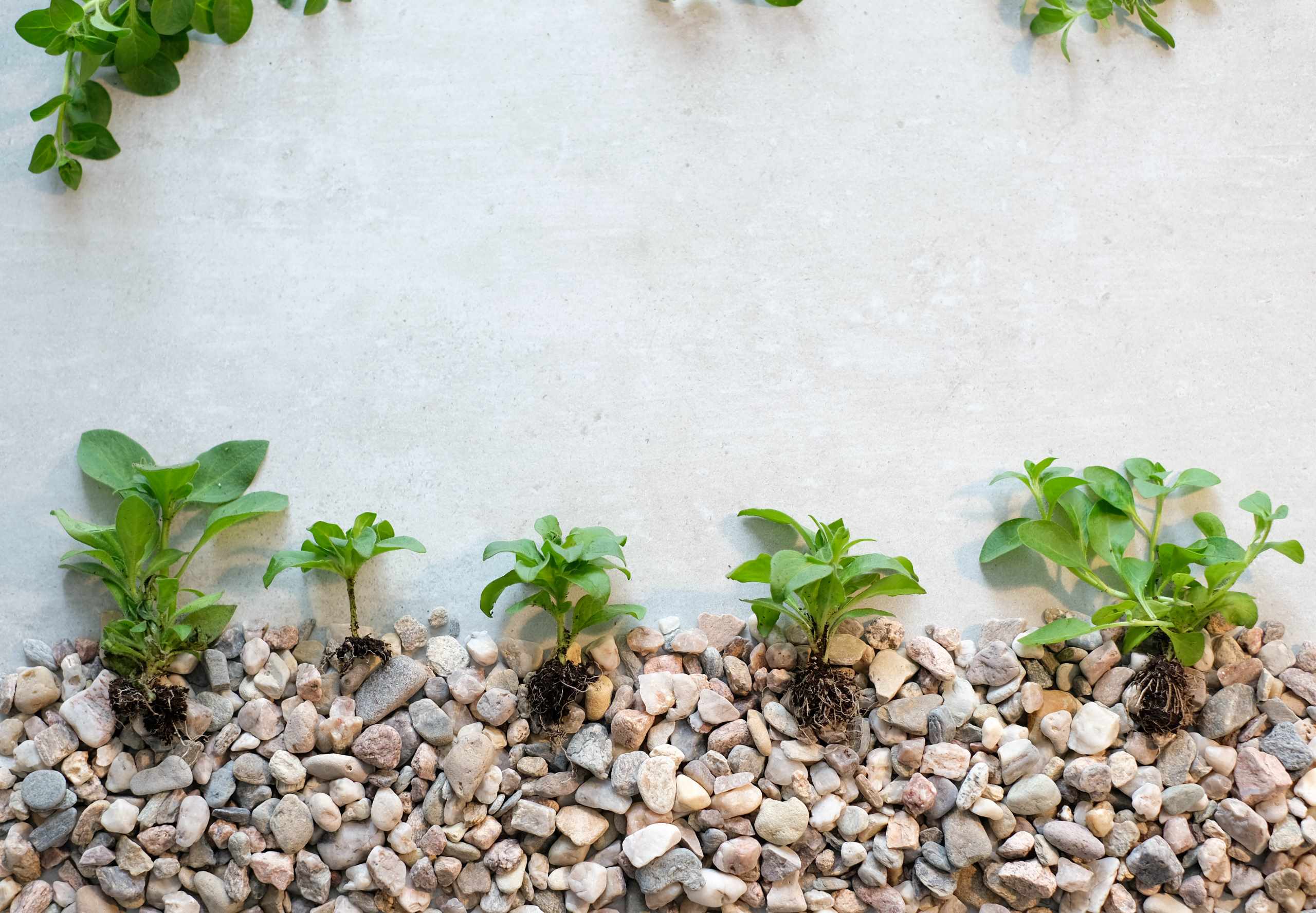 You are currently viewing Diseño natural: incorpora piedra volcánica costarricense en tu jardín en casa