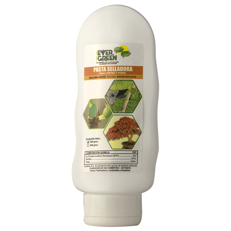 Pasta Selladora 250G