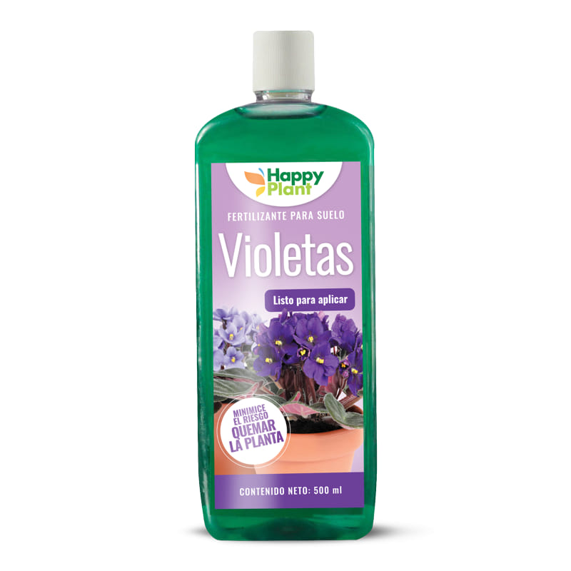 Happy Plant Violetas