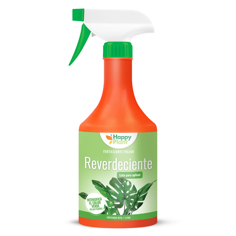 Happy Plant Reverdeciente
