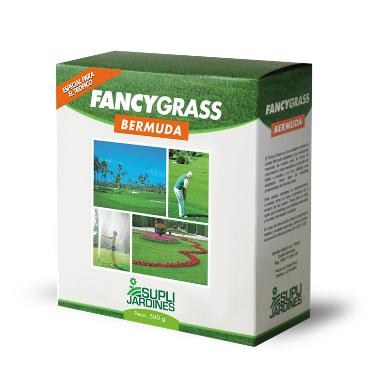 Zacate Fancy Grass (Bermuda)