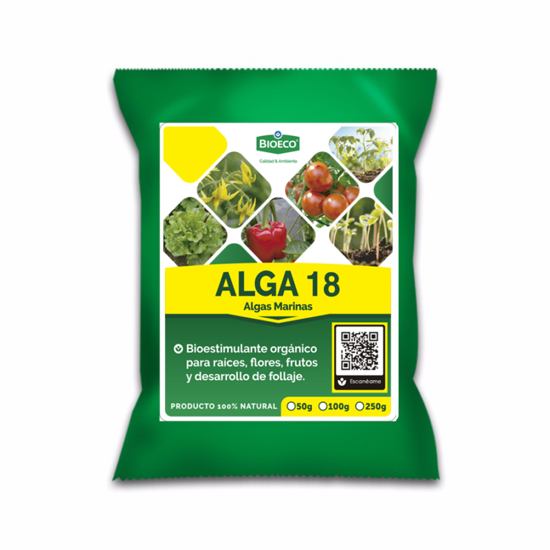 Alga 18