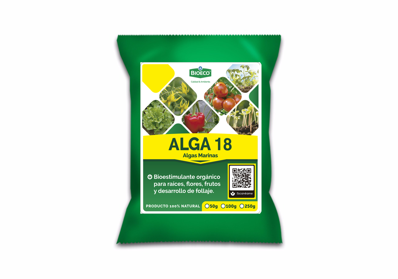 Alga 18