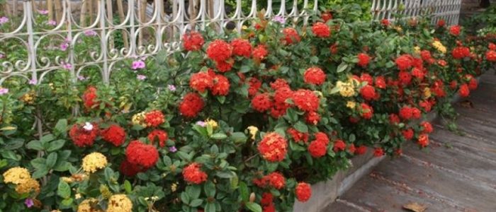 4c097094b61b4929e501aaaa35fe01ce