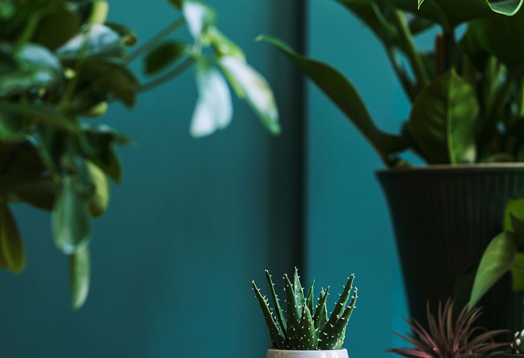 Untitled-1 - 06-05-2025 23-52-36