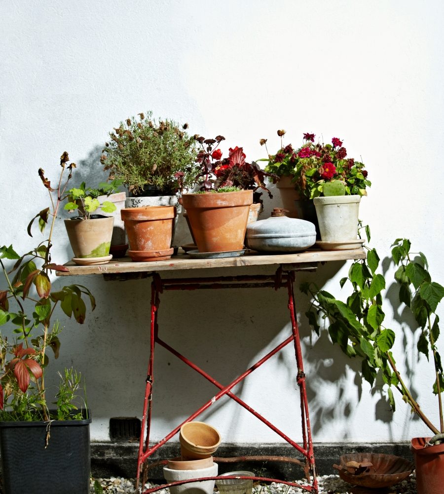 Macetas de diferentes