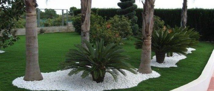 combinar plantas ornamentales