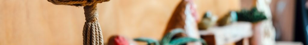 plantas y macetas con piedras volcanicas